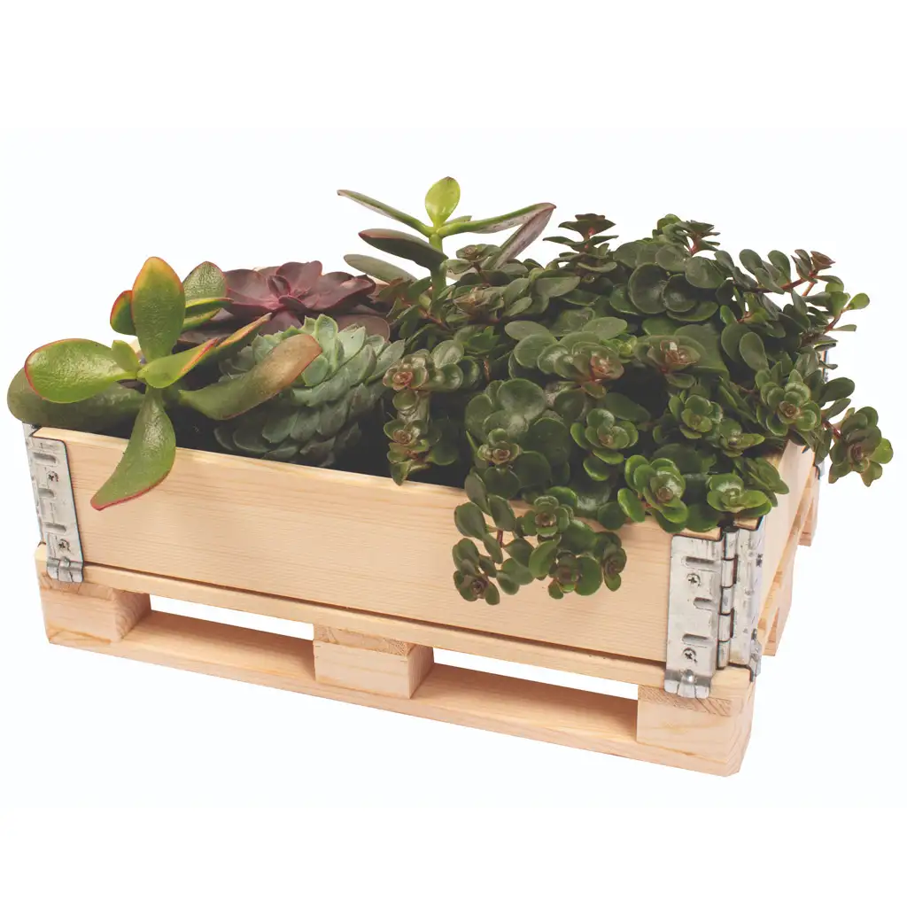 PlayBox: Raklap láda fából 18x28x8,65cm kép 3