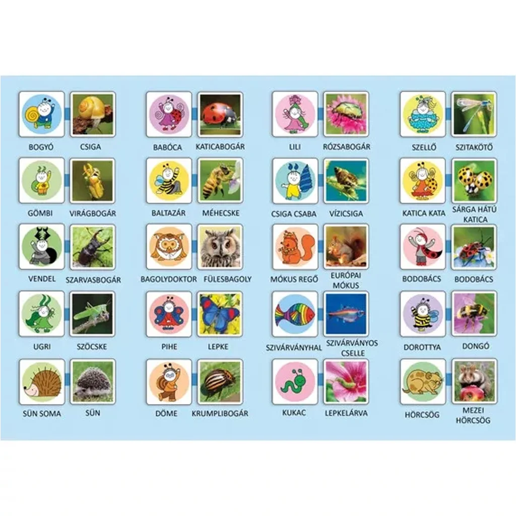 Bogyó és Babóca: Ki Kicsoda? memóriajáték kép 2