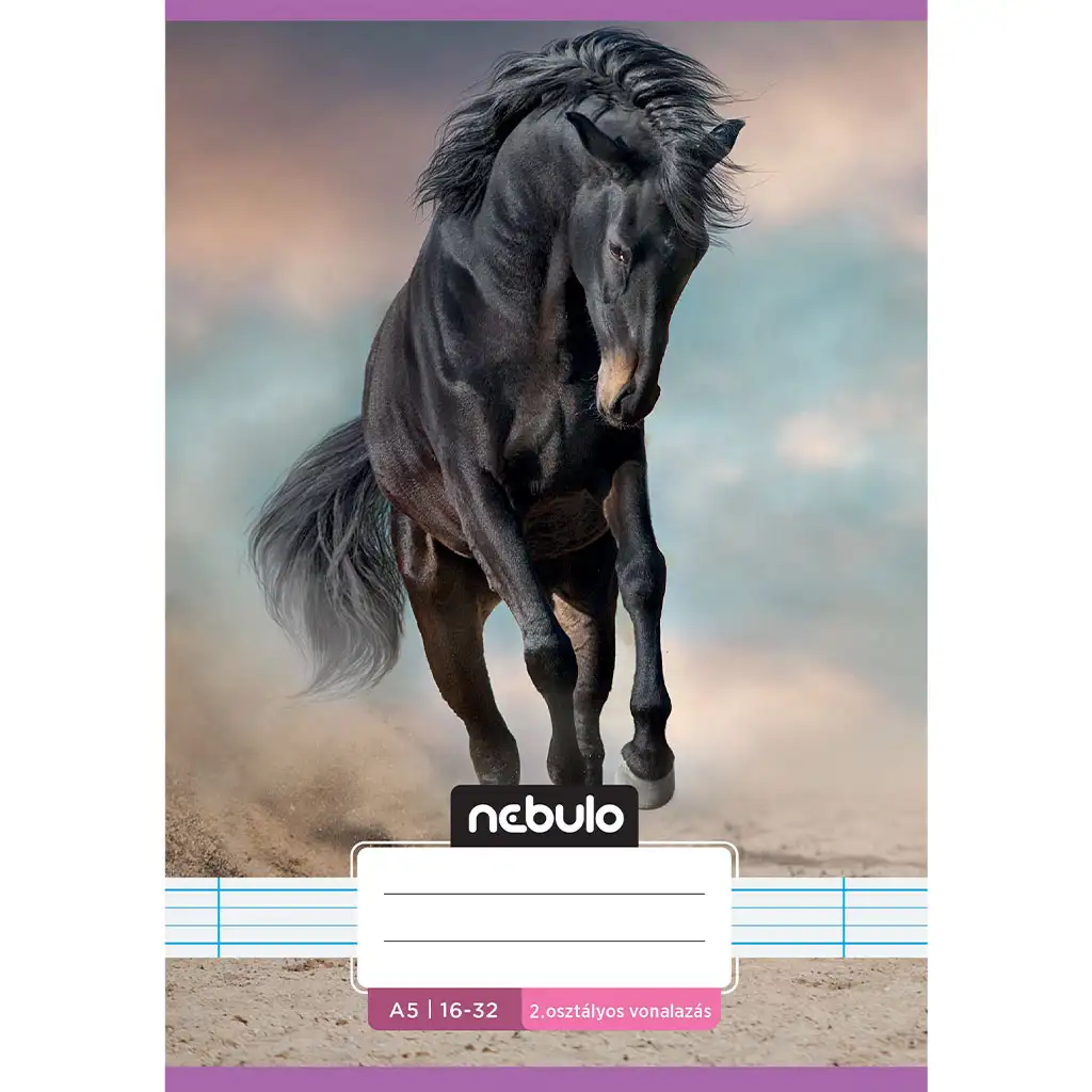 Nebulo: Tűzött 2. osztályos vonalas füzet A5-ös 16-32 Cuki mintás - Lovas