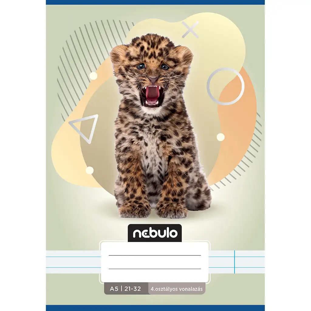 Nebulo: Leo mintás 4.osztályos vonalas füzet A/5 21-32