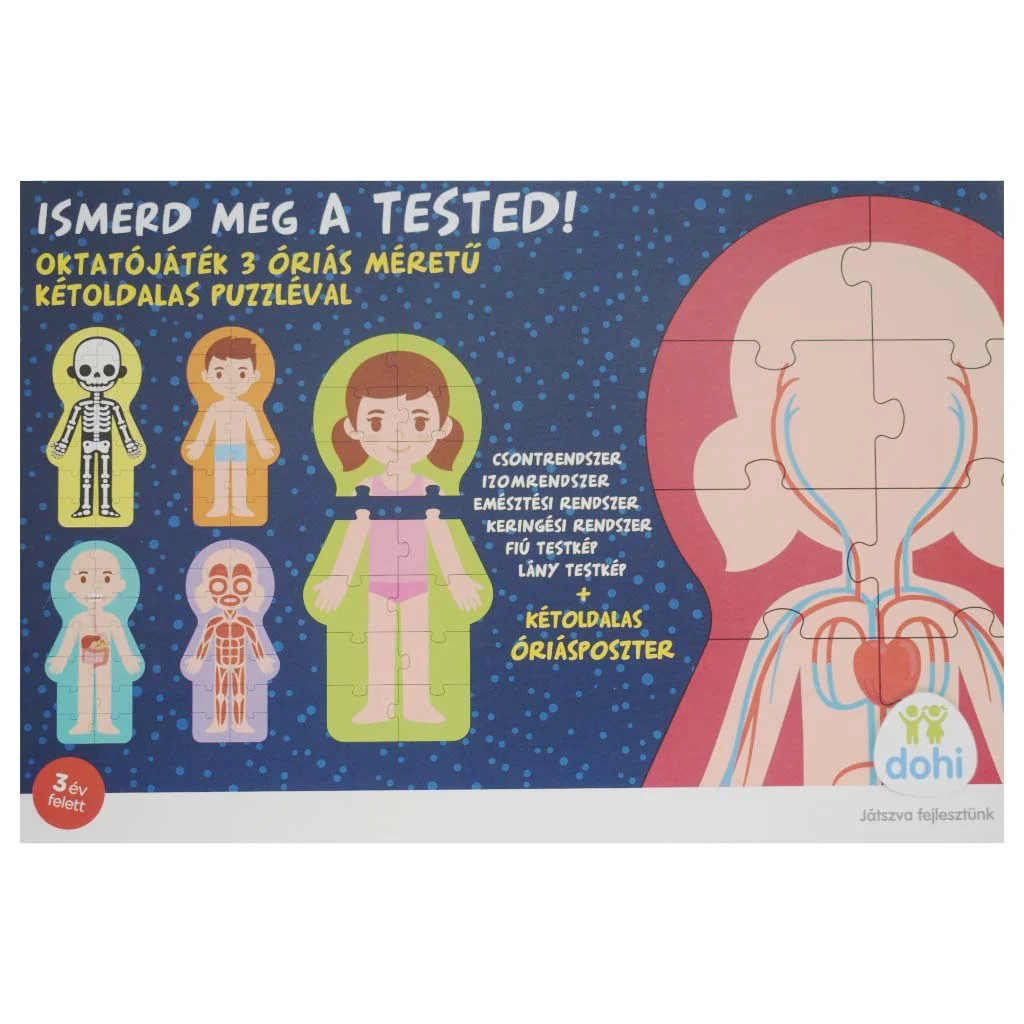 Ismerd meg a tested oktatójáték - D-Toys