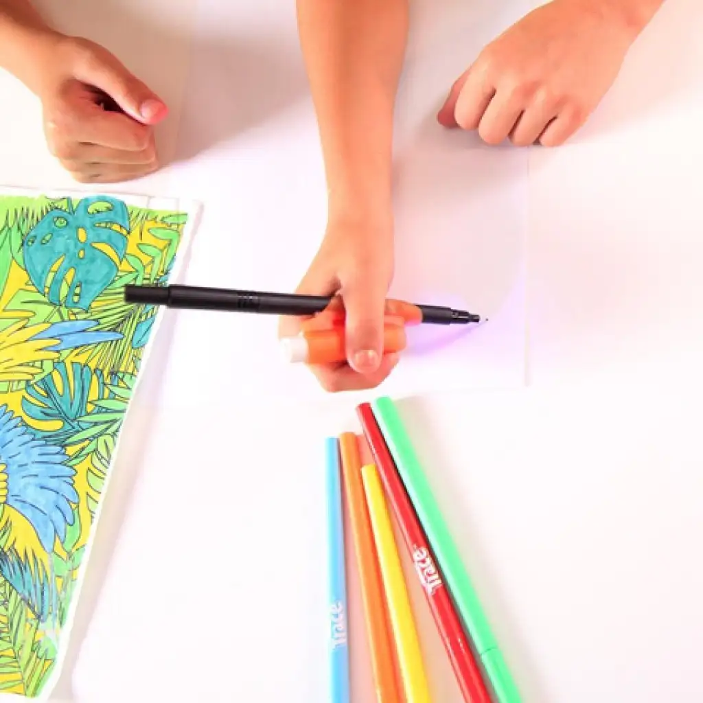 Magic Trace: Állatkert kezdőszett kép 2