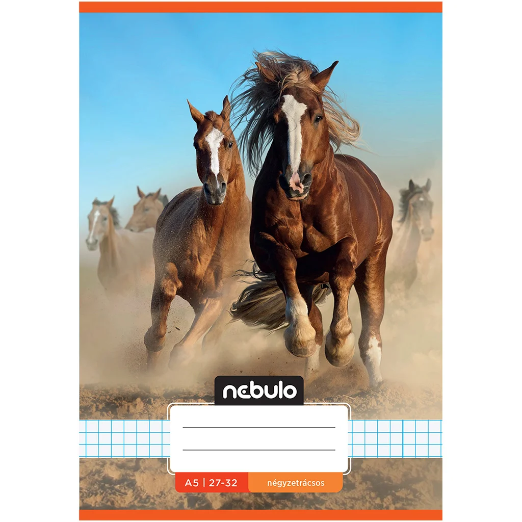 Nebulo: Tűzött vadlovak mintás kockás füzet 27-32 A/5