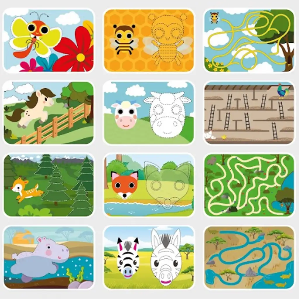 Fejlesztő feladatkártyák letörölhető filccel - Állatok kép 2