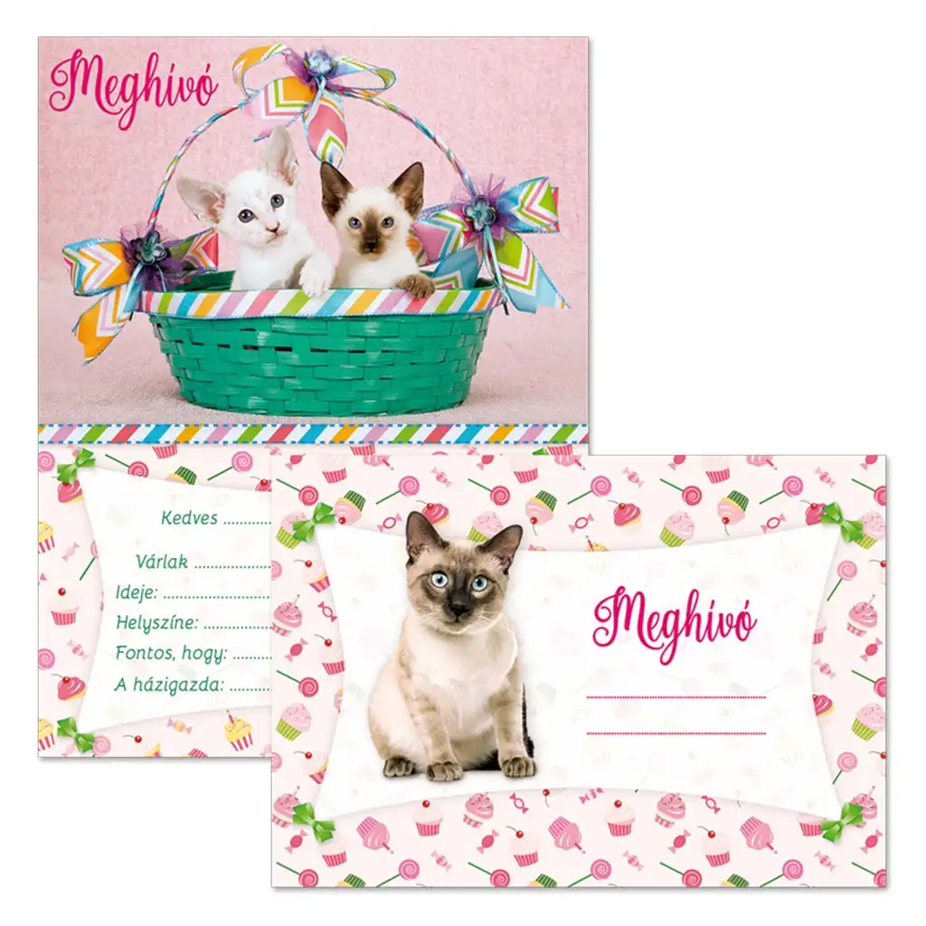 Ars Una: Macskás partimeghívó borítékkal 10 db-os