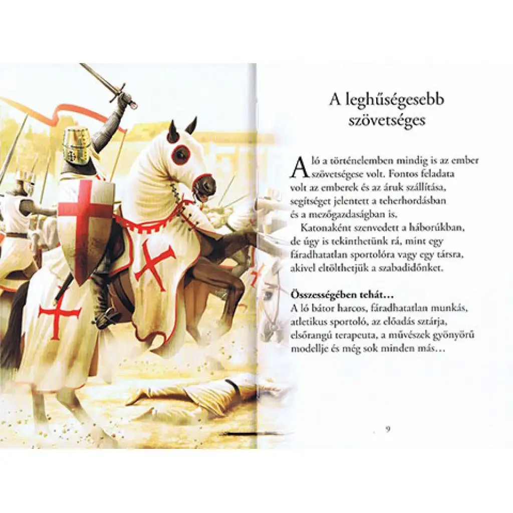 Olvass velünk! (3) - A lovak története gyermek könyv kép 2