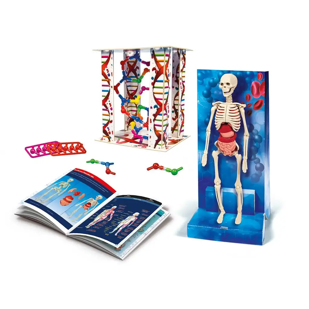 Az emberi test tudományos játékszett - Clementoni kép 2
