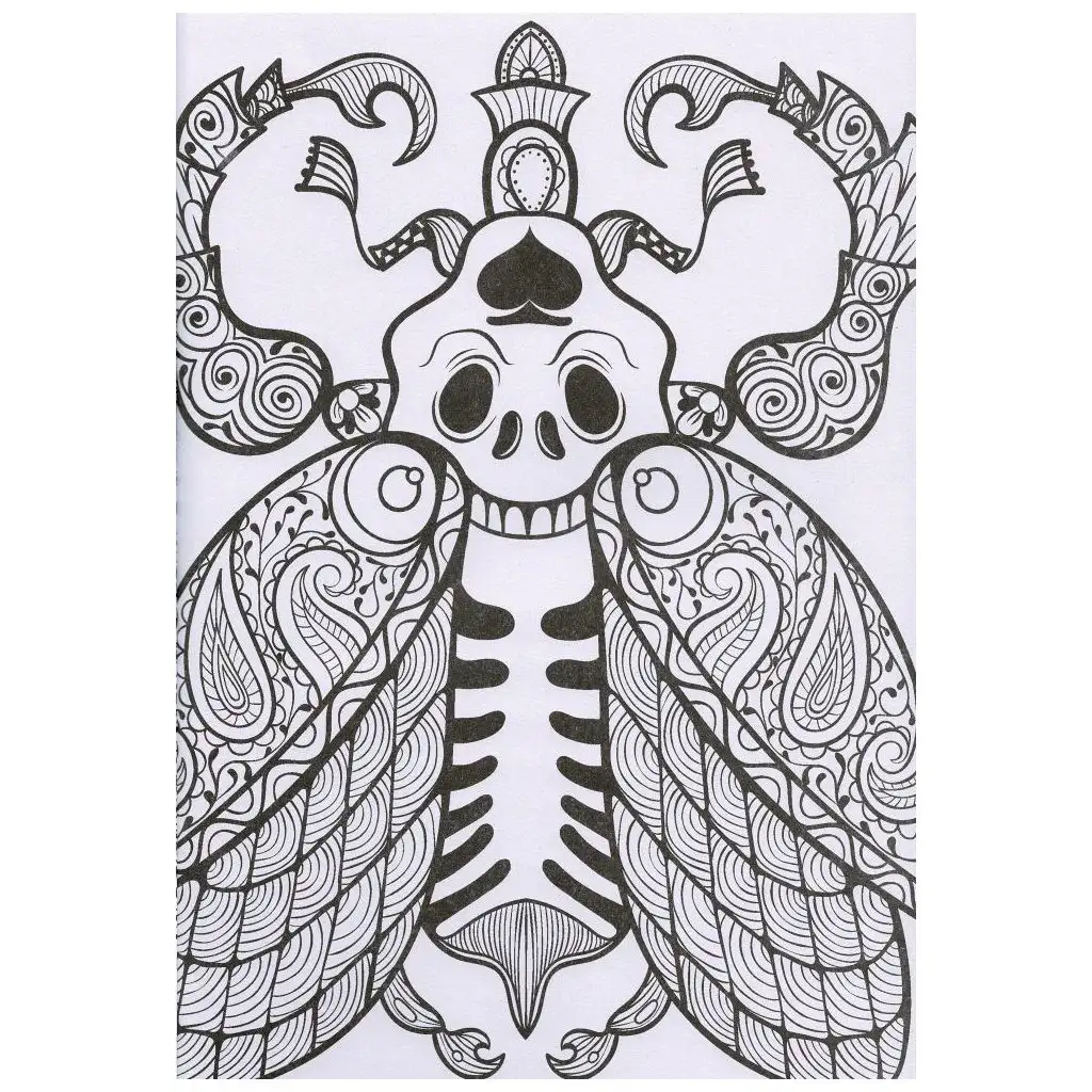 Kifestőfüzet felnőtteknek - Csodálatos minták kép 2