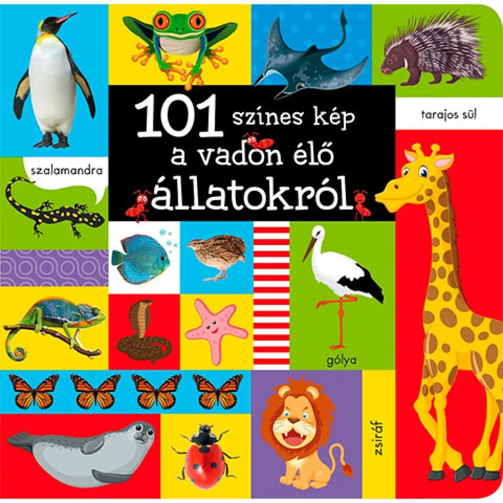 101 színes kép a vadon élő állatokról babakönyv