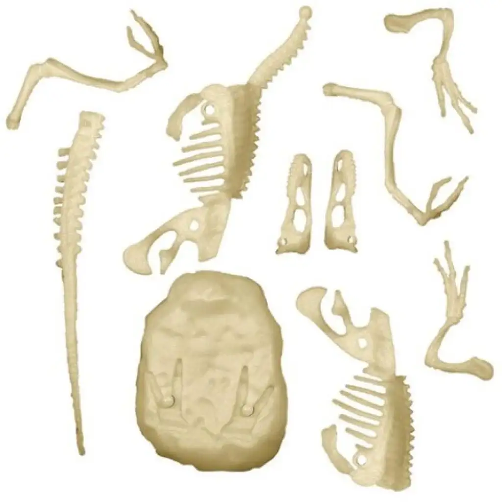 Science&Play: Archeofun Világító Velociraptor régész szett - Clementoni kép 3