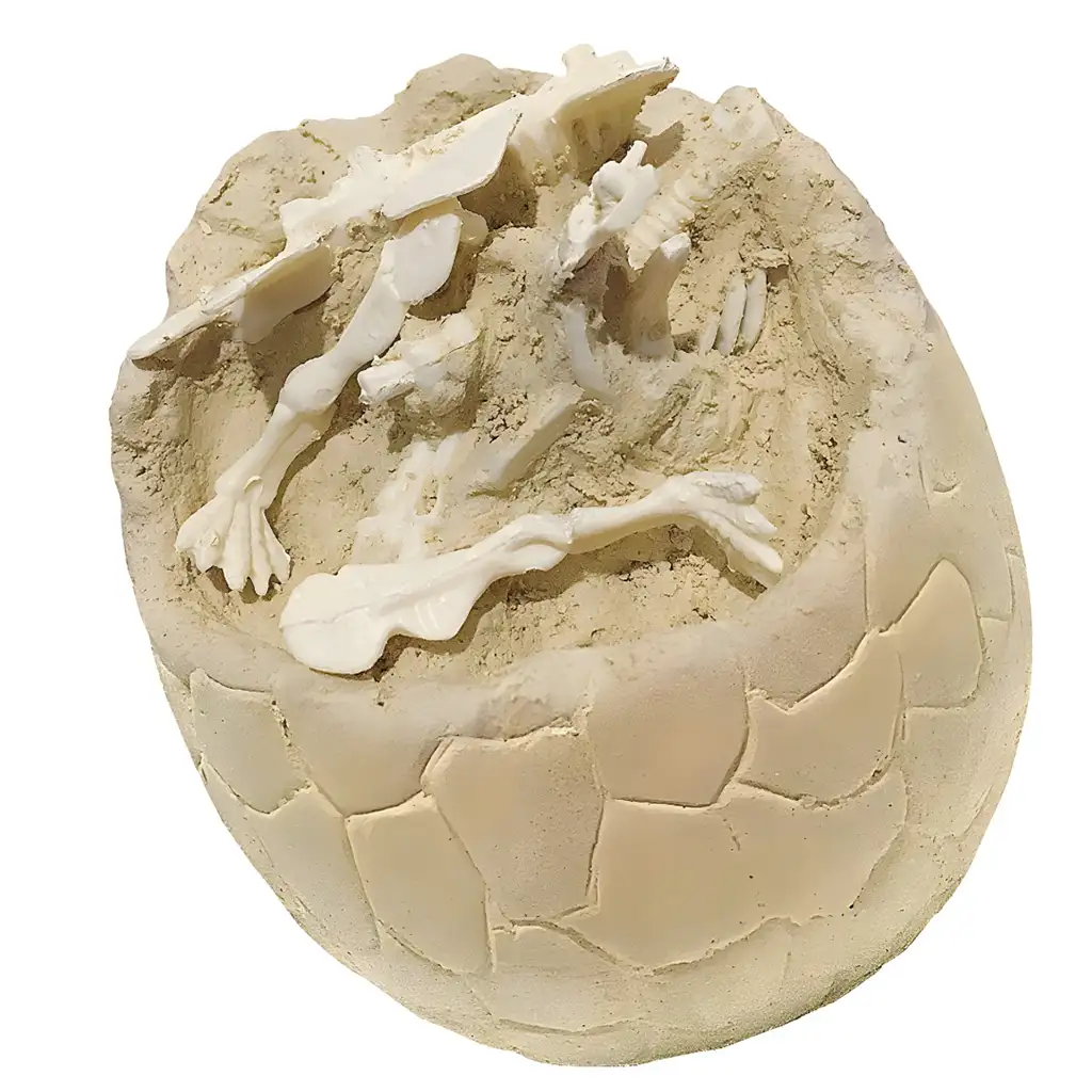 Dino Explorer: Régészeti meglepetés dinoszaurusz tojás többféle változatban kép 2