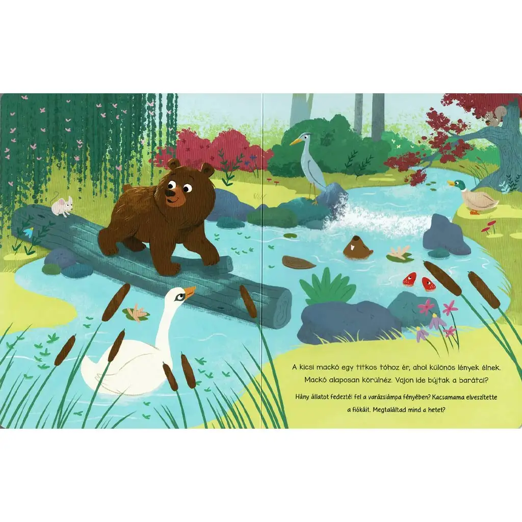 Varázslámpa - A erdő lakói mesekönyv kép 2