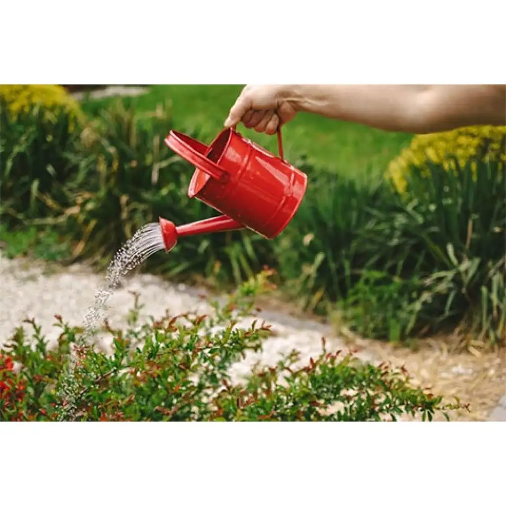 Piros retro fém locsolókanna - Woodyland kép 2