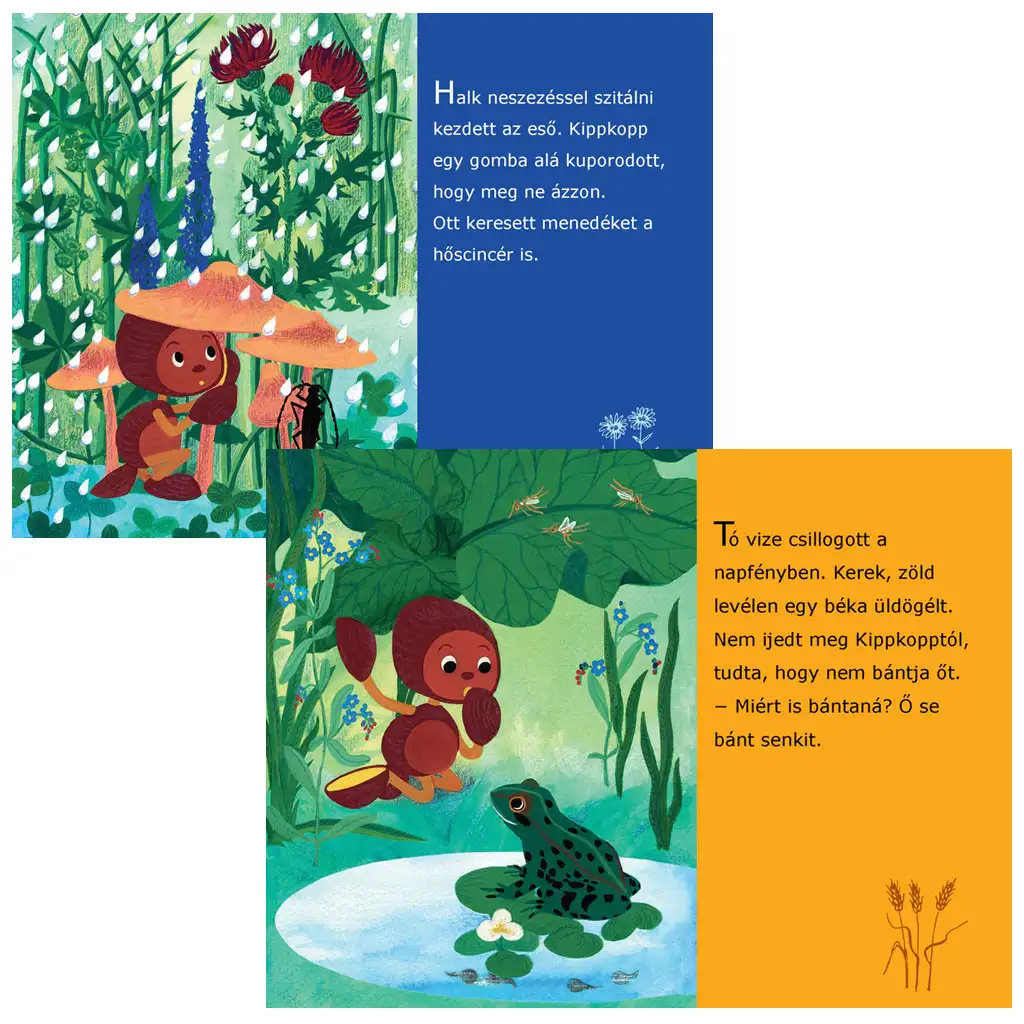 Kipkopp a fűben diafilm kép 2