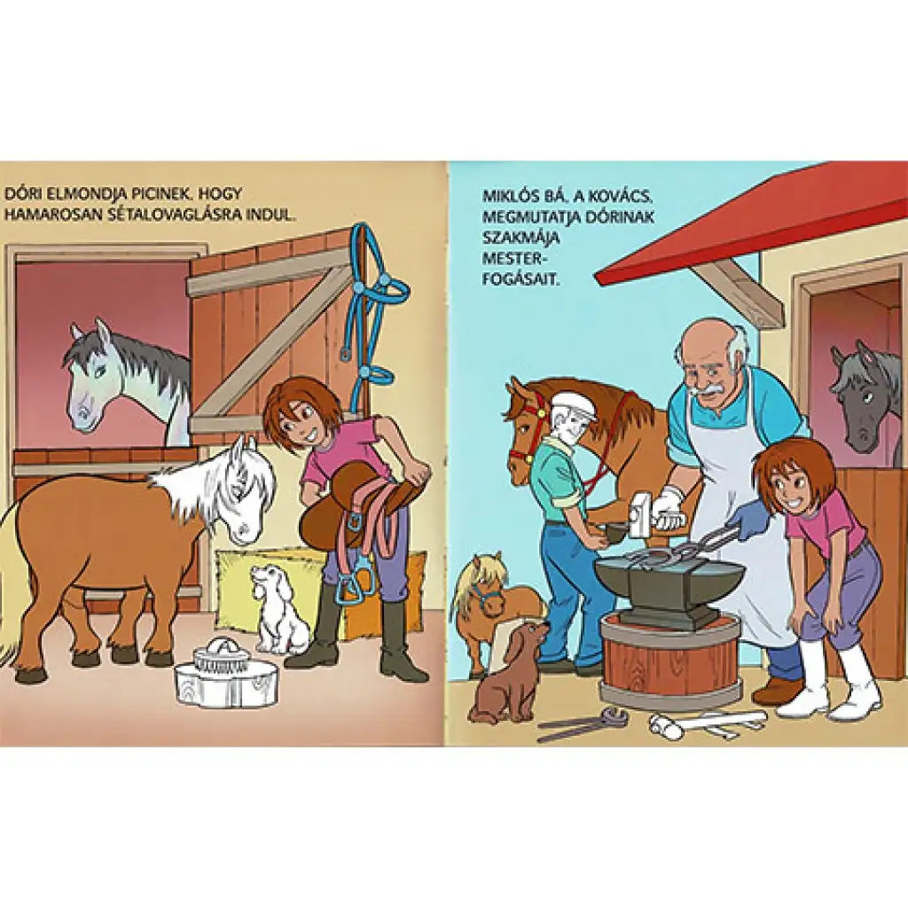 Pónis matricásfüzet 1. kép 2