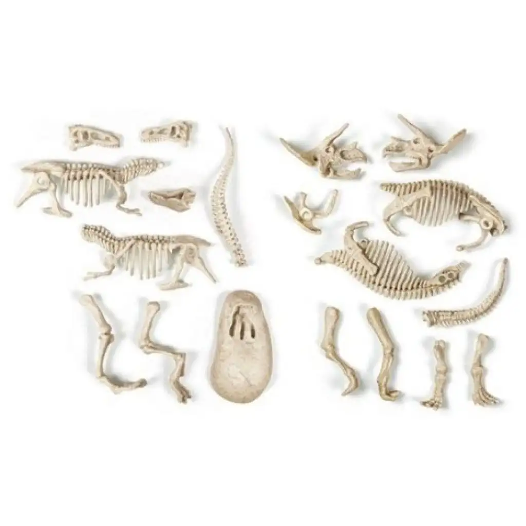 Science&Play: Archeofun Világító T-rex és Triceratops régész szett - Clementoni kép 3