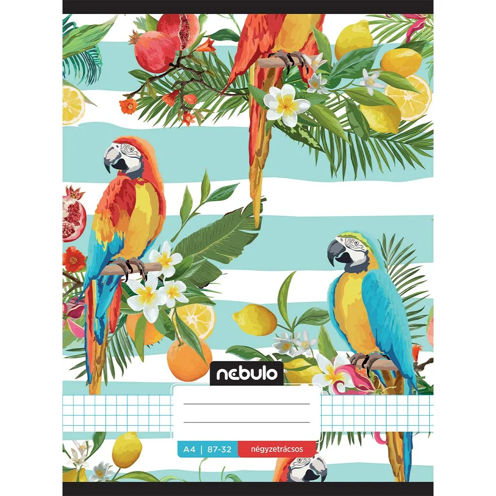 Nebulo: Tűzött kockás csíkos papagáj mintás füzet 87-32 A/4