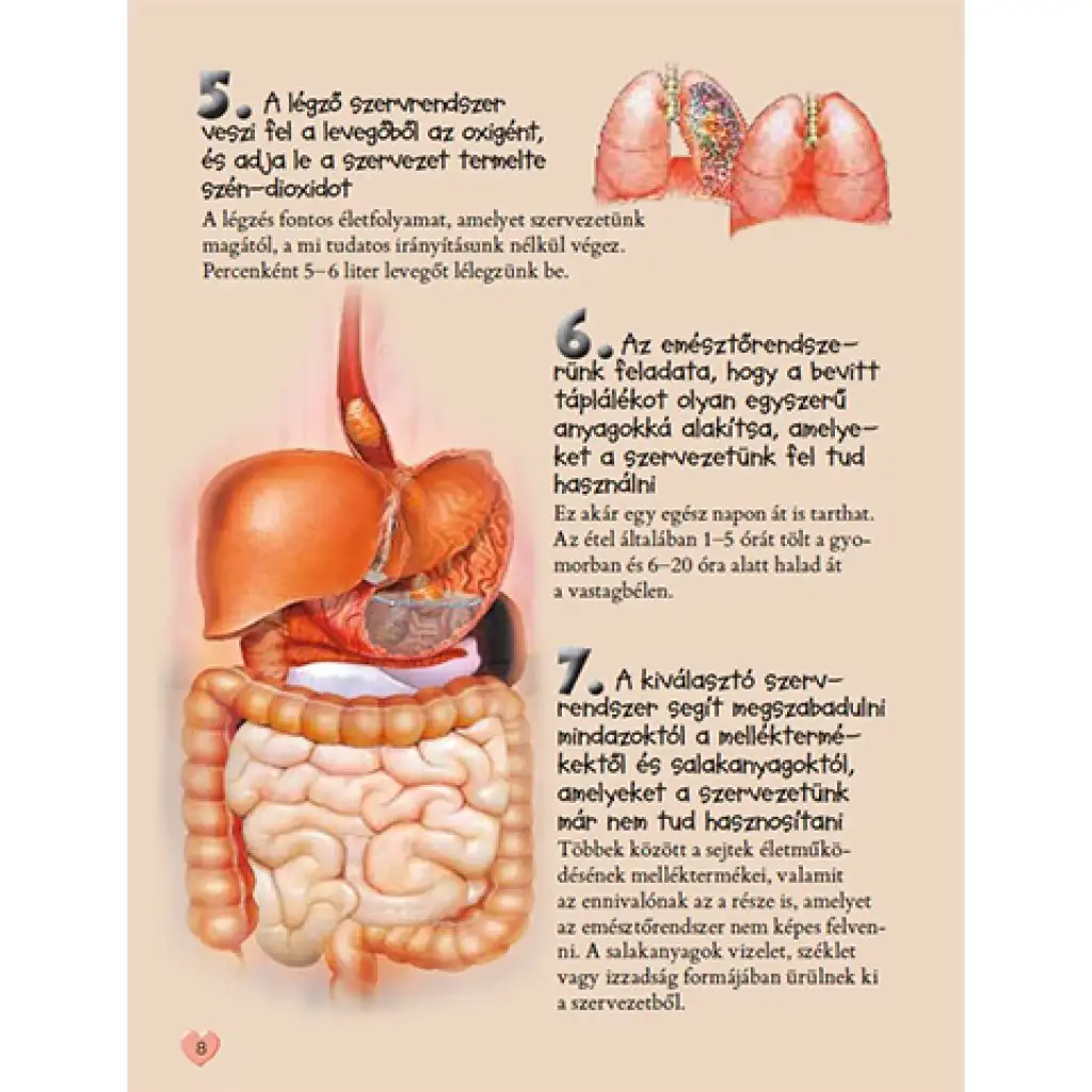 101 dolog, amit jó, ha tudsz az emberi testről ismeretterjesztő könyv kép 2