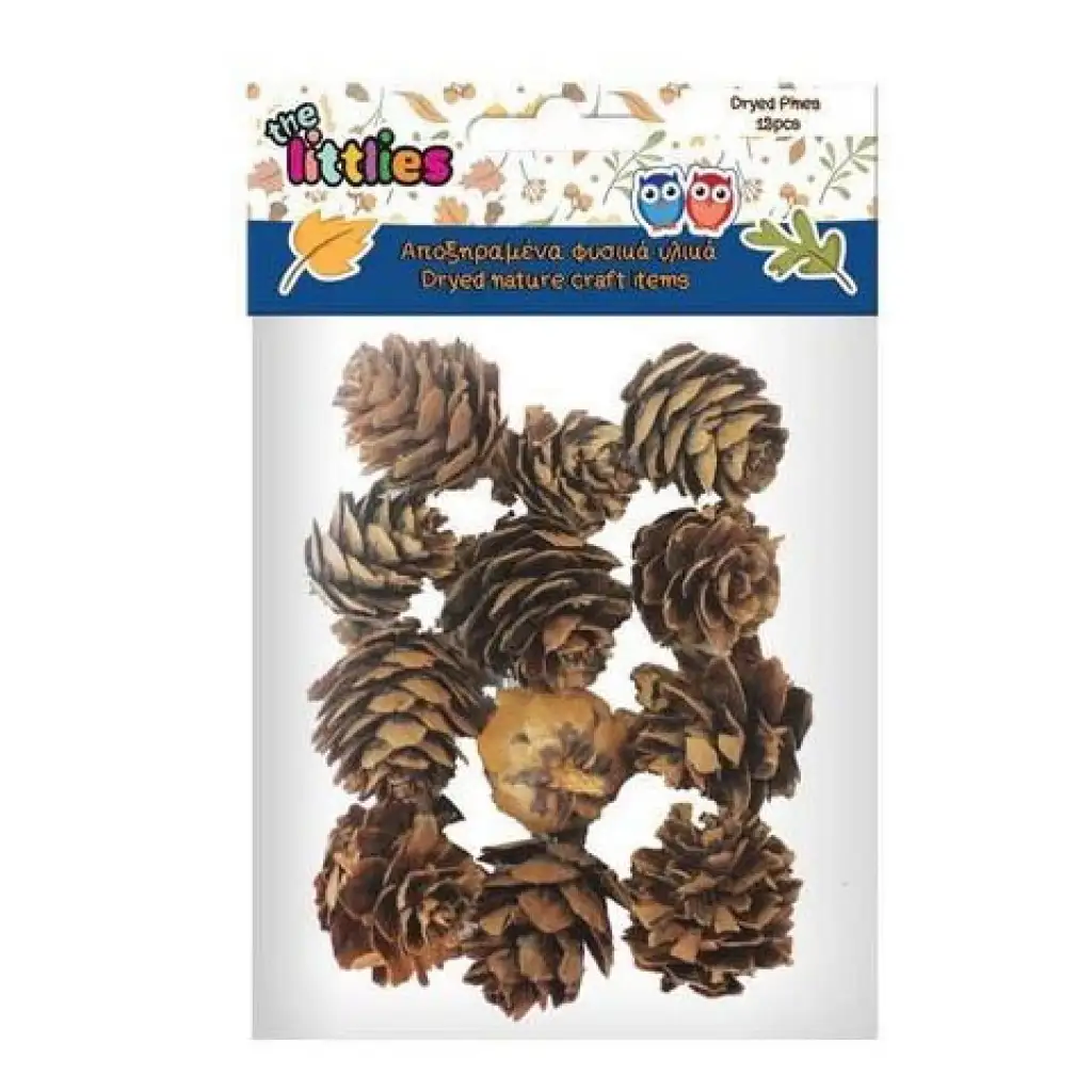Szárított fenyő toboz 12db-os csomag