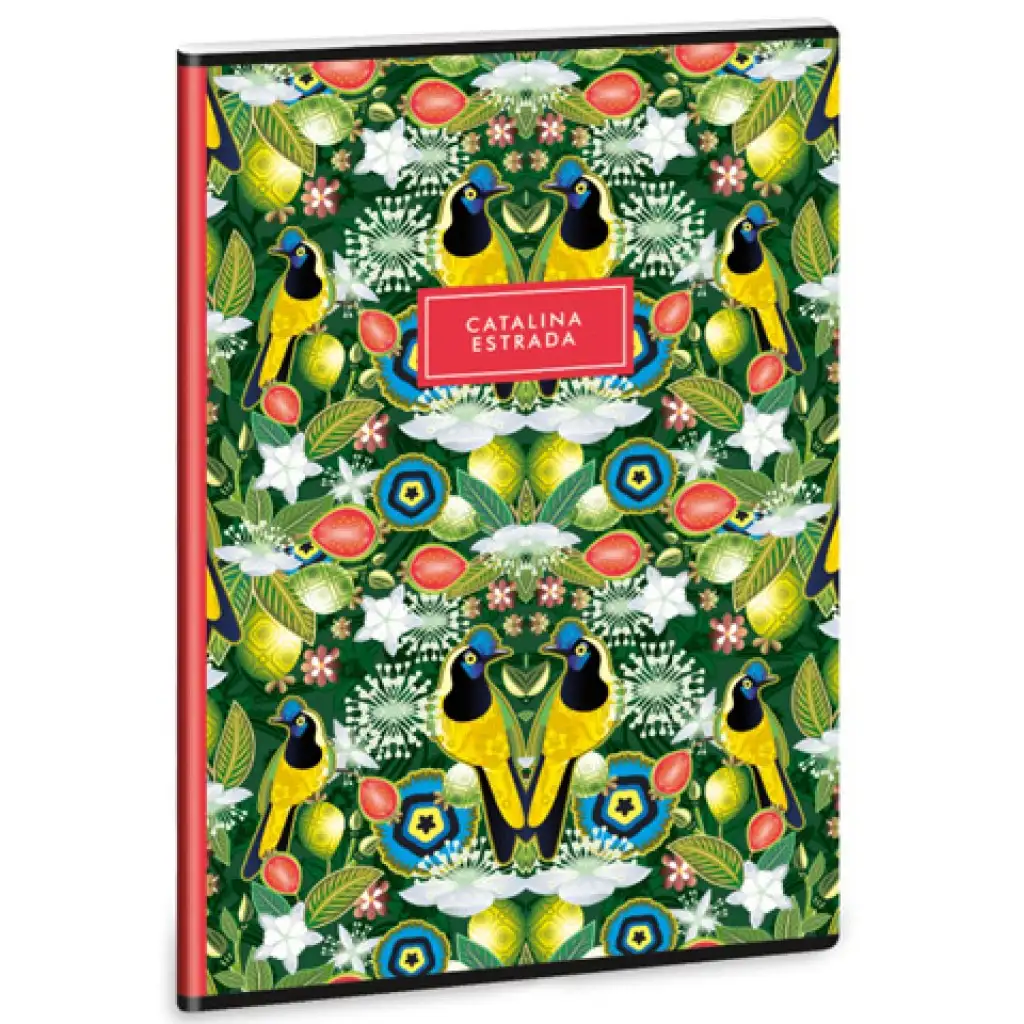 Ars Una: Catalina Estrada Carriqui extra kapcsos A/4-es 4.osztályos vonalas füzet