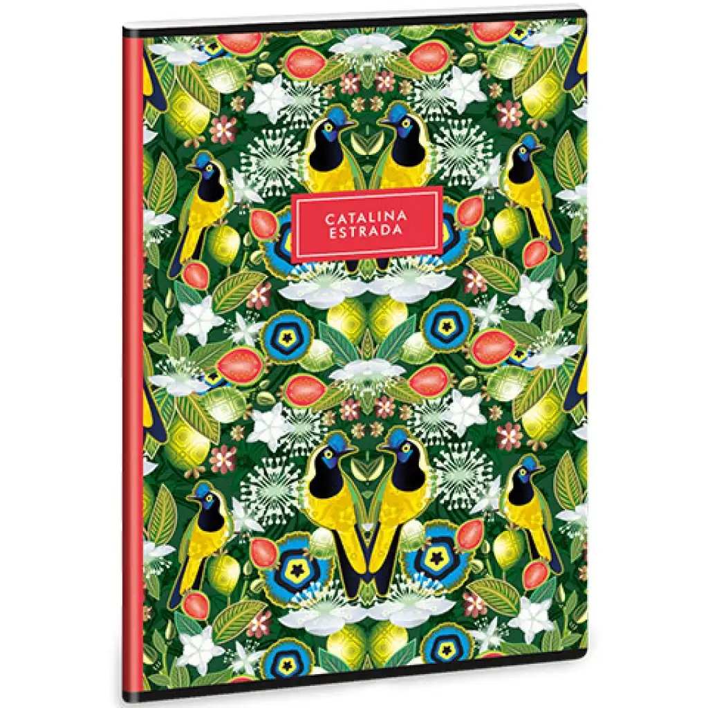 Ars Una: Catalina Estrada Carriqui extra kapcsos négyzethálós kockás füzet 40 lapos A/4