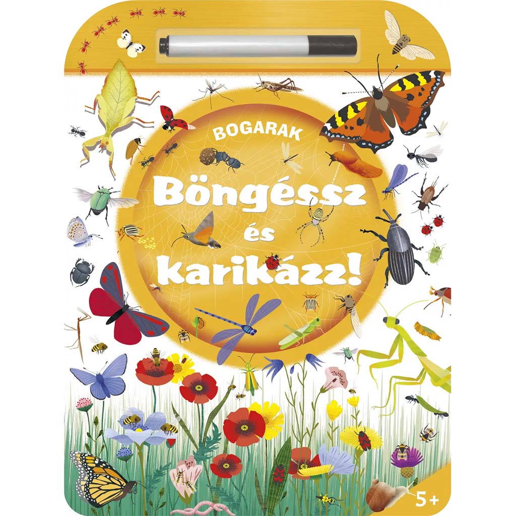 Böngéssz és karikázz - Bogarak