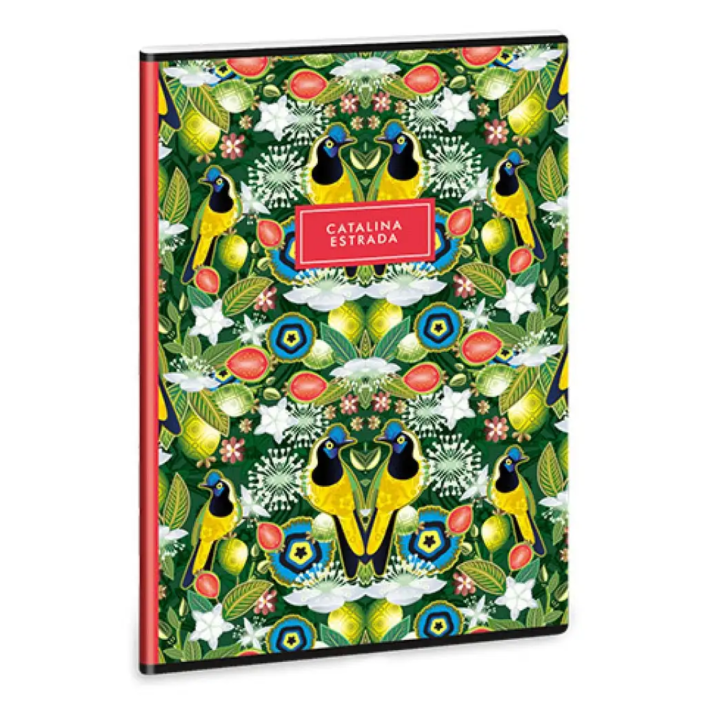 Ars Una: Catalina Estrada Carriqui A/4-es extra kapcsos sima füzet