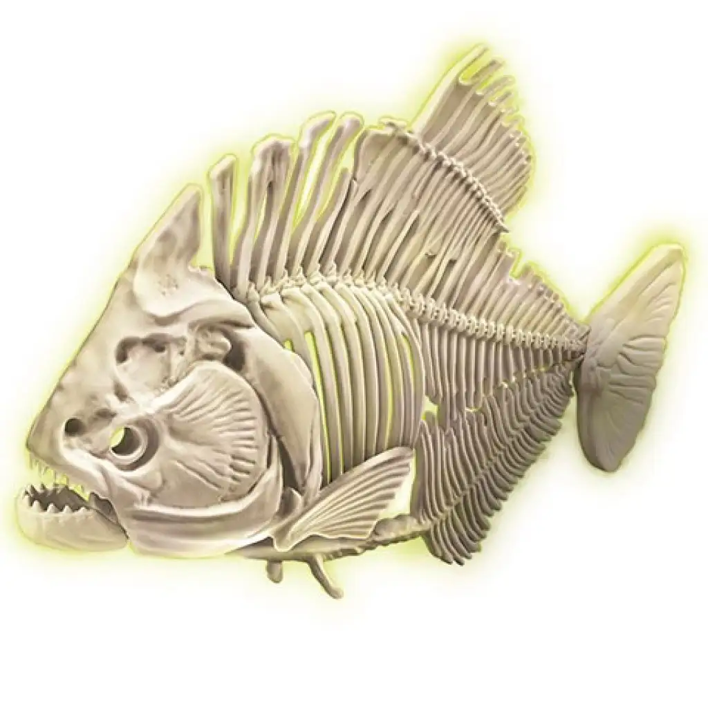 Science & Play: Piranha fluoreszkáló régészeti készlet - Clementoni kép 3
