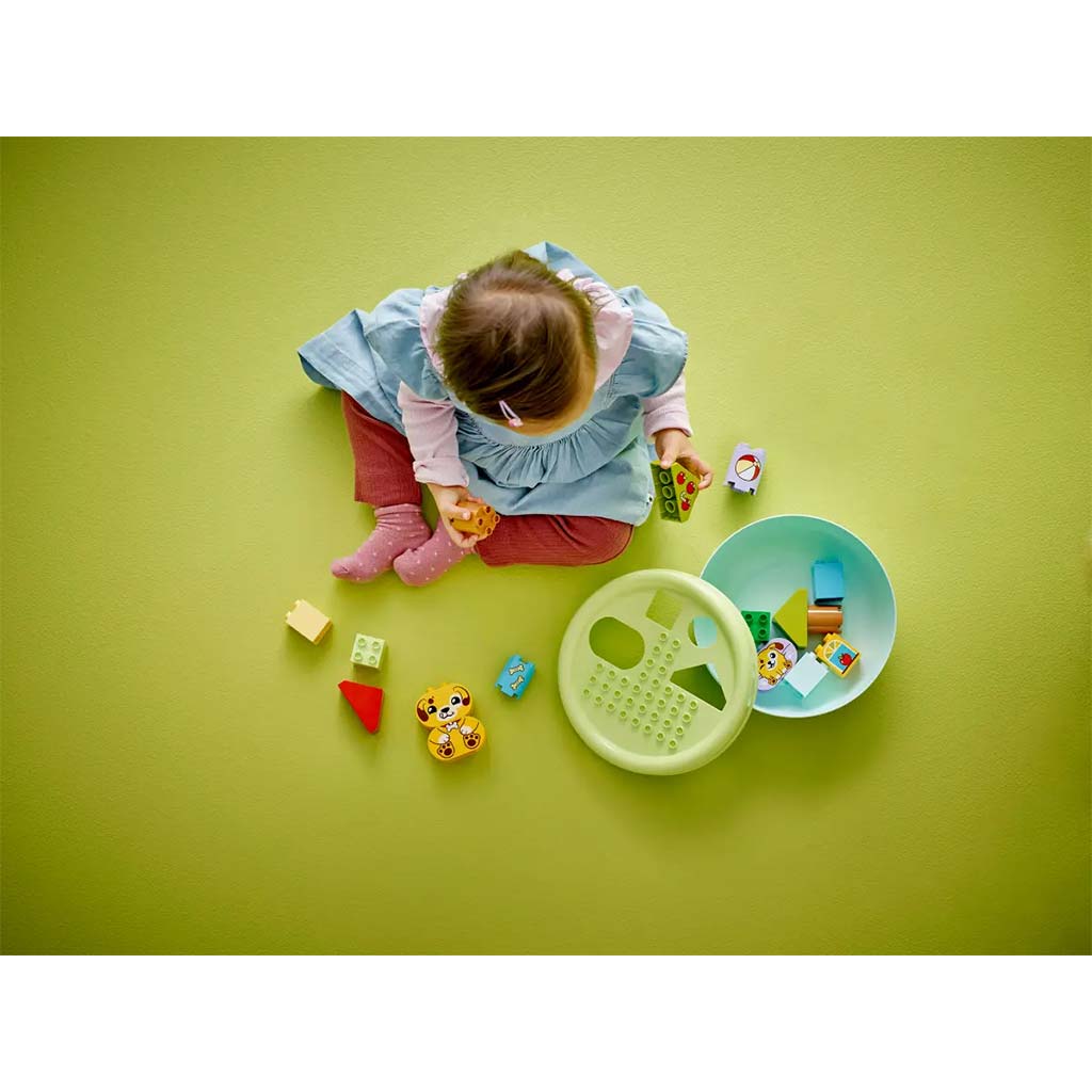 LEGO® DUPLO®: Formaválogató: Kutyusház (10441) kép 7