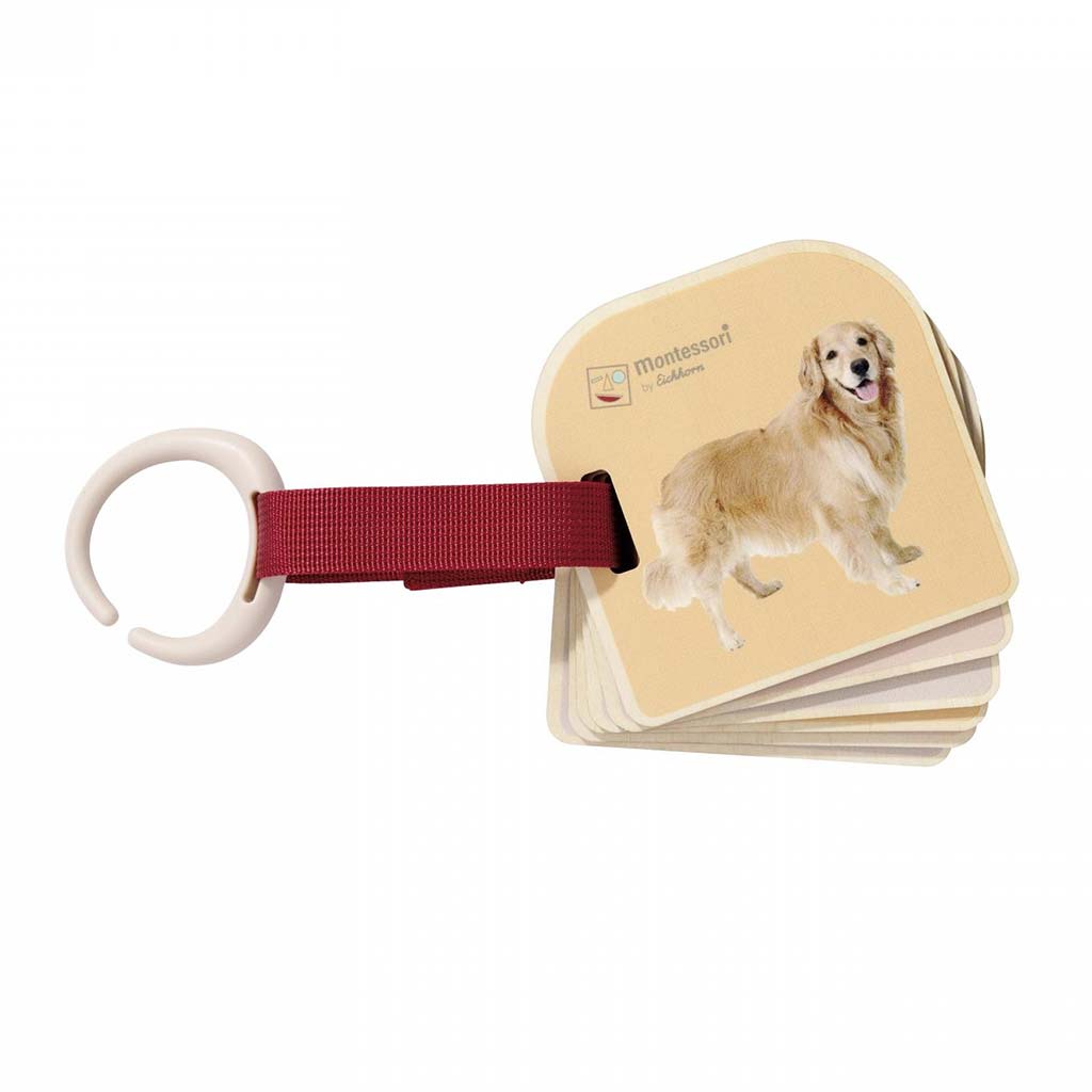 Eichhorn: Fa Montessori Állatkép Lapozó – Ismerd meg az állatokat természetes képekkel - Simba Toys kép 2