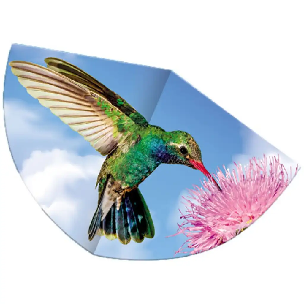 Kolibri sárkányrepülő