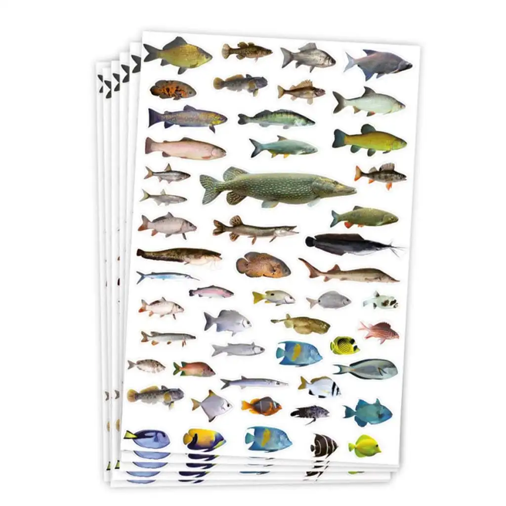 PlayBox: Halas matricák 300db-os kép 1