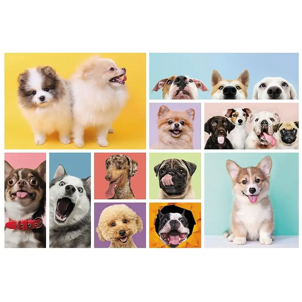 Kutya barátság 160db-os puzzle - Trefl kép 2