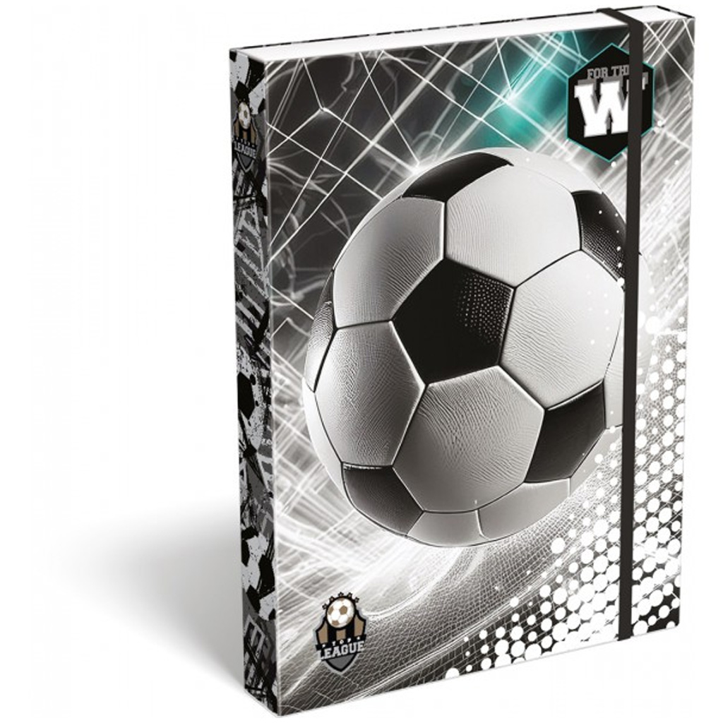 ICO: Lizzysuli Top League FTW füzetbox A/4 kép 1