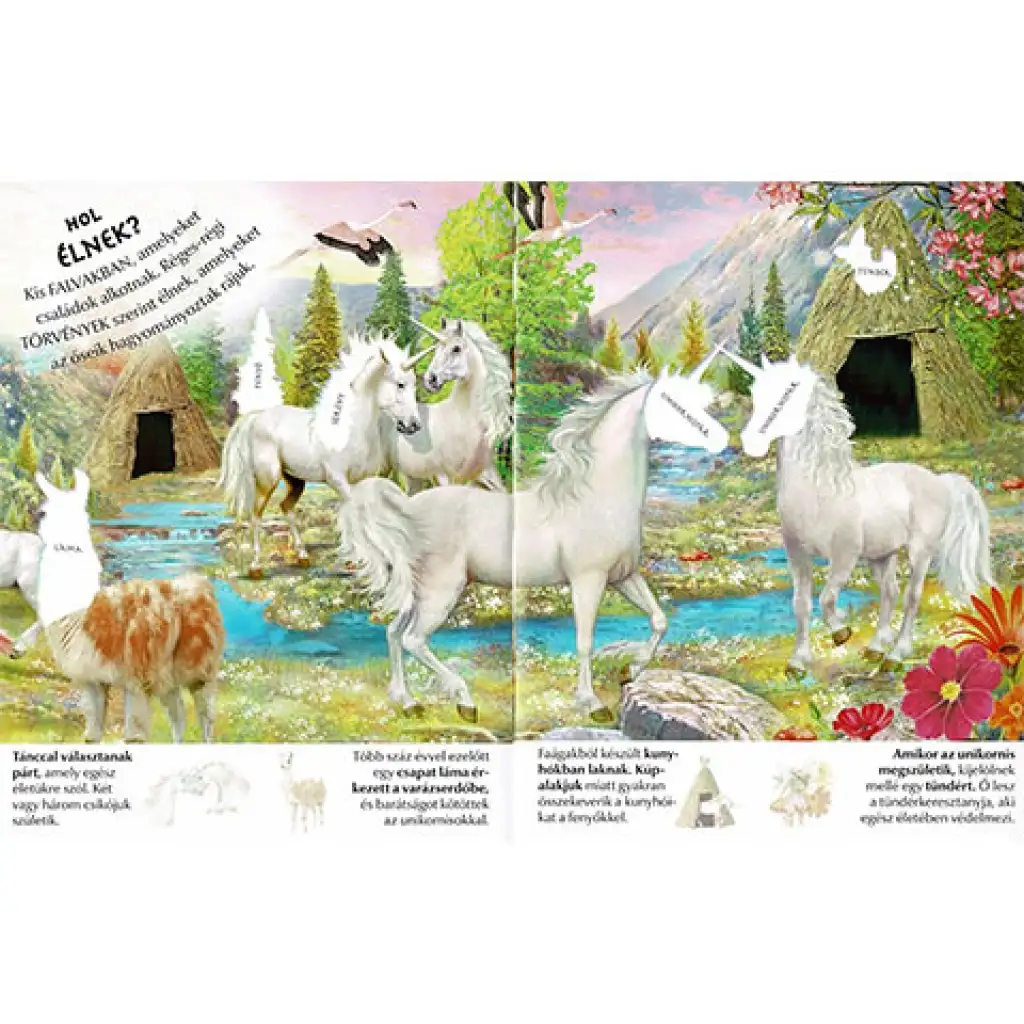 Milyen érdekes a világ... Unikornisok matricásfüzet kép 2