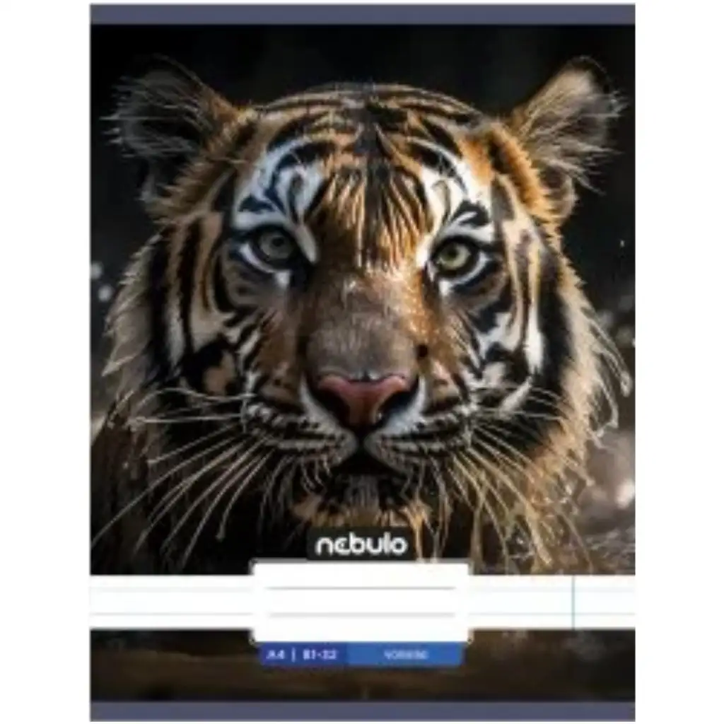 Nebulo: Tigris sima füzet A4 80-32