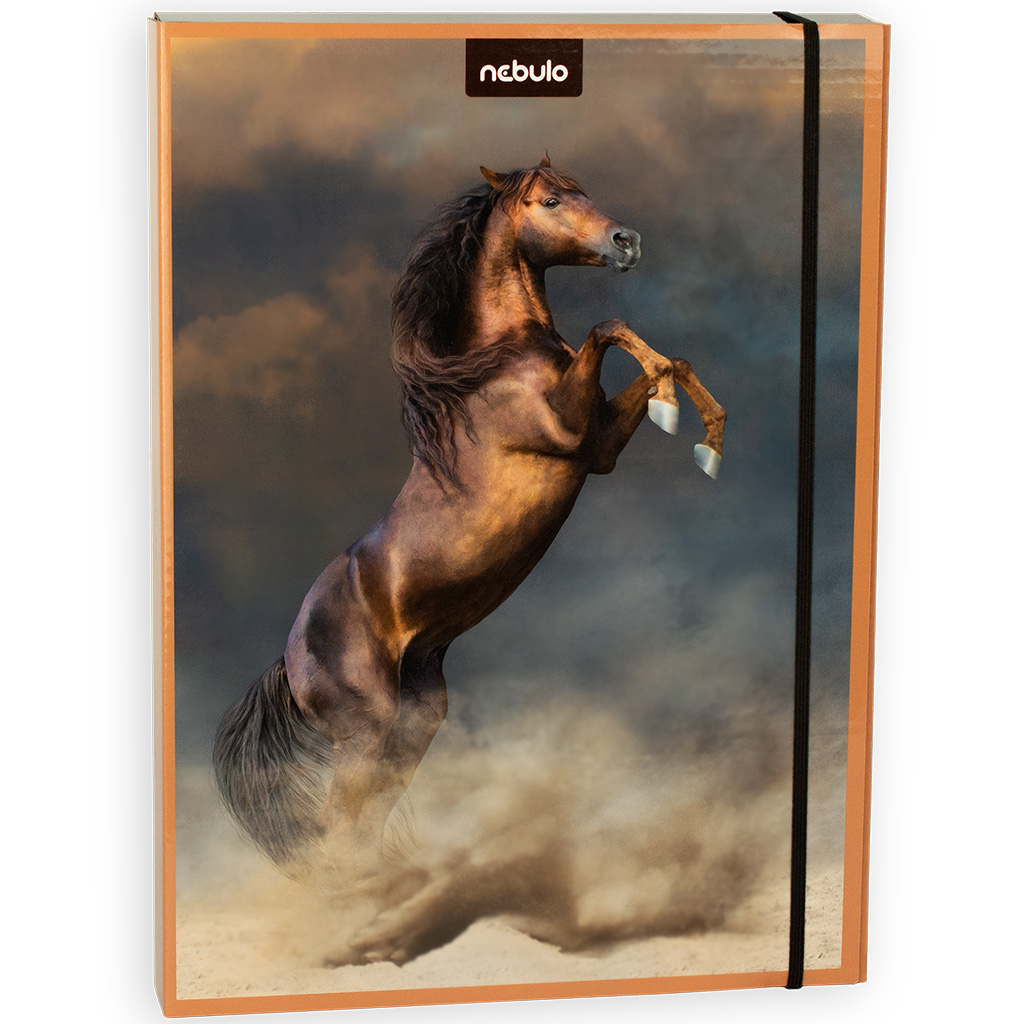 Nebulo: Füzetbox A/4-es méretben Lovas mintával kép 1