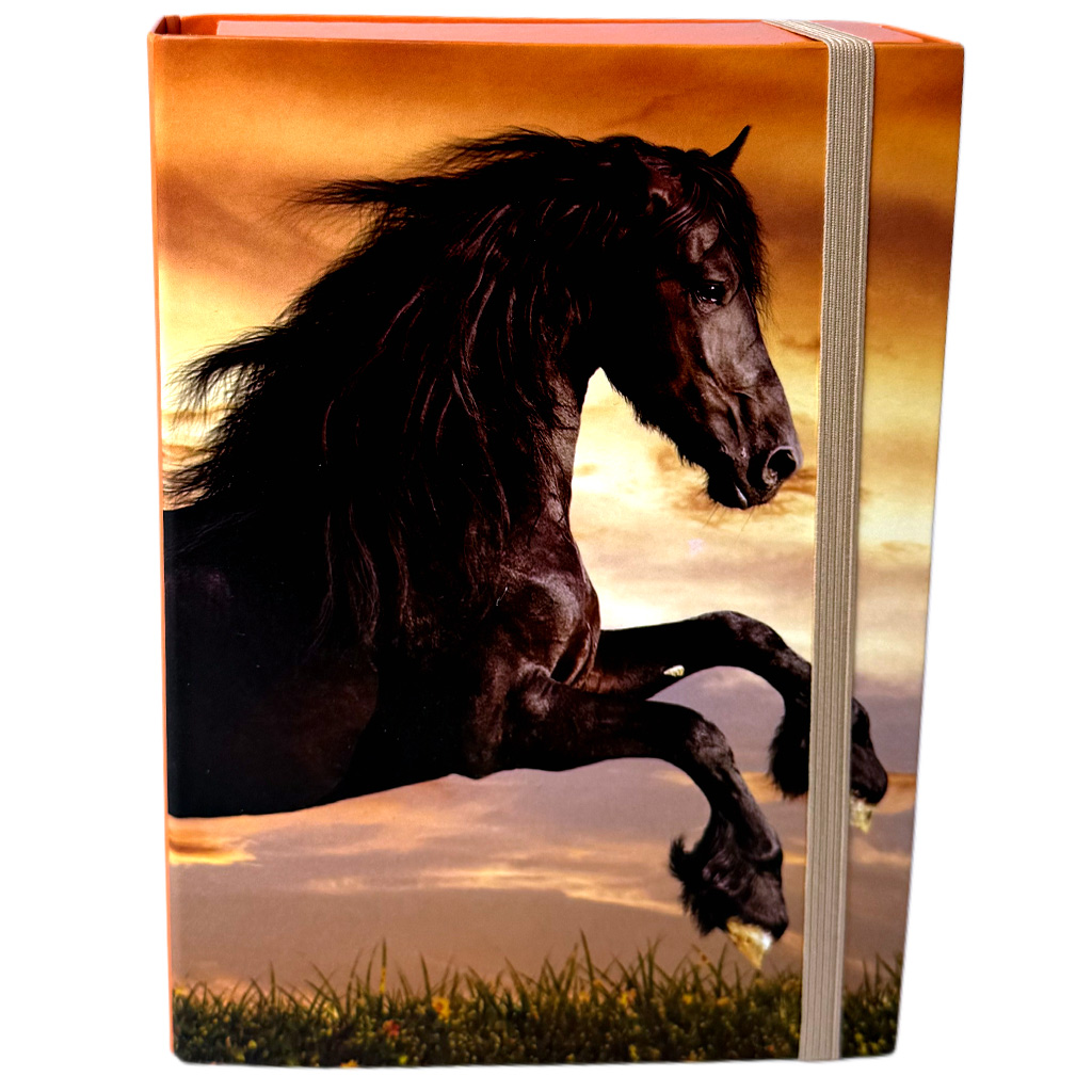 Nebulo: Füzetbox A/5-ös méretben fekete ló mintával kép 1