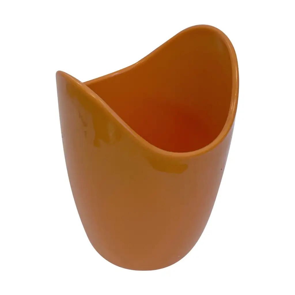 Pancsizó Leo a fogmosó oroszlán fürdőjáték kancsóval kép 8