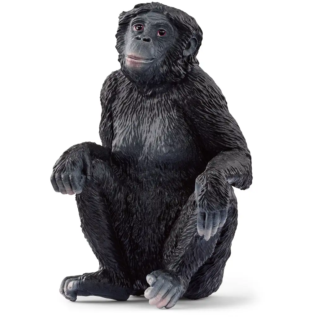 Schleich: Bonobo nőstény figura (14875)