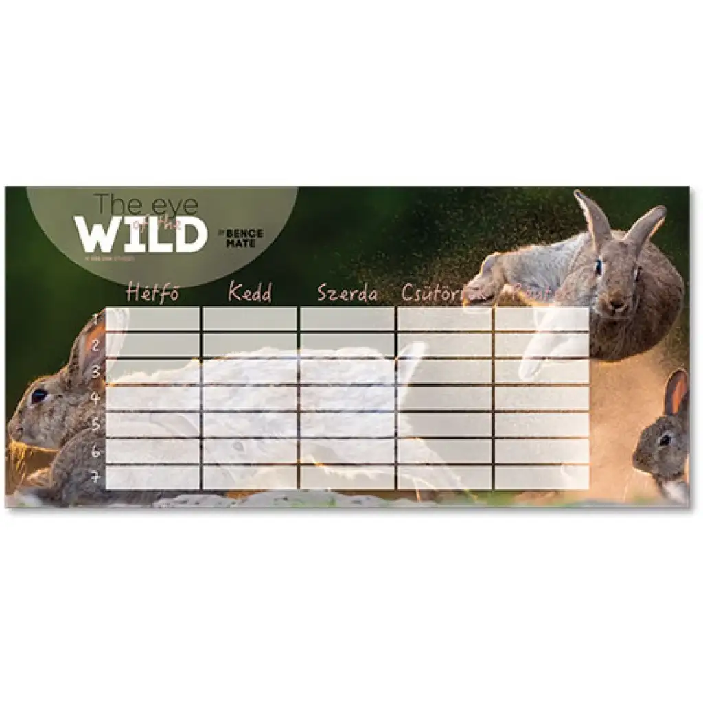 Ars Una: The Eye of the Wild nyuszis kétoldalas órarend