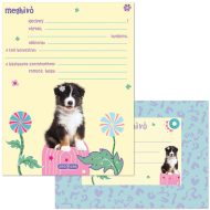 Ars Una: Cute Animals Aussie kutyusos 10db-os meghívó szett borítékkal