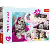Cuki cicák puzzle 160db-os - Trefl