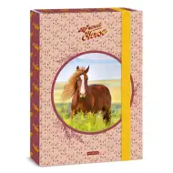 Ars Una: My Sweet Horse Lovas A4 füzetbox
